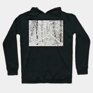 Snow Abstract Hoodie